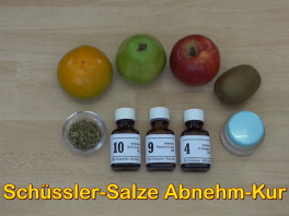 Schssler-Salze Abnehmkur